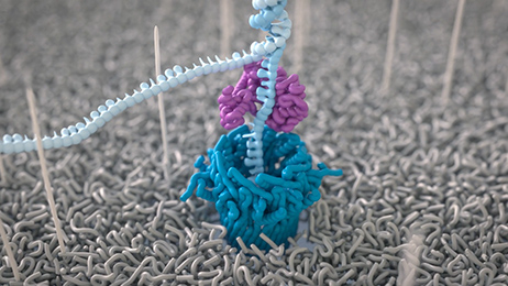 Solutions for Healthcare and Life Science Industries 