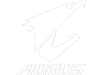 AORUS
