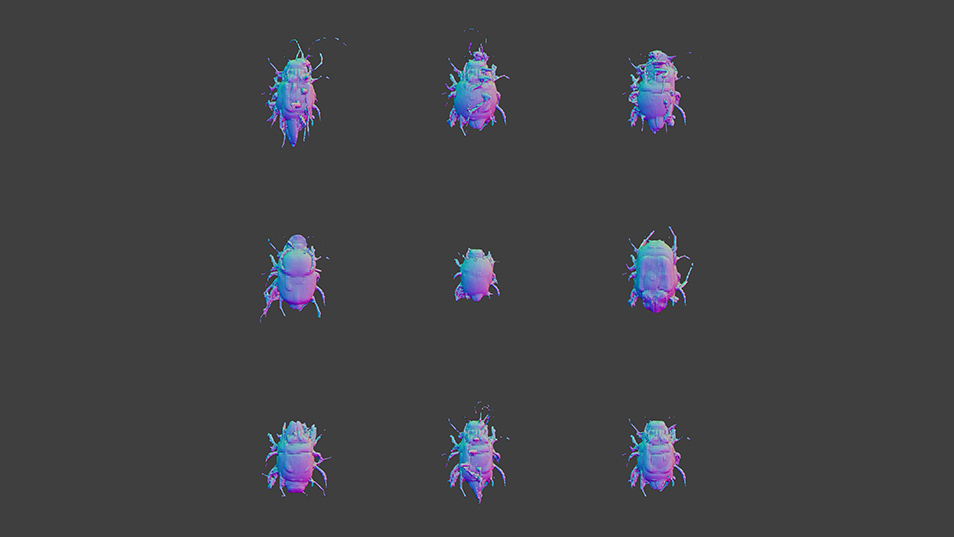 gtc20-ai-art-gallery-overview-sofia-crespo-process-dataset-grid-modal-1cCW-D