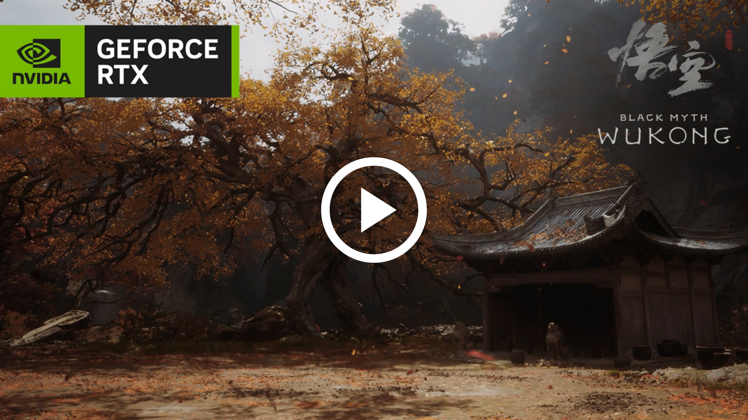 GeForce RTX 40 - 黑神话：悟空游戏捆绑包| NVIDIA