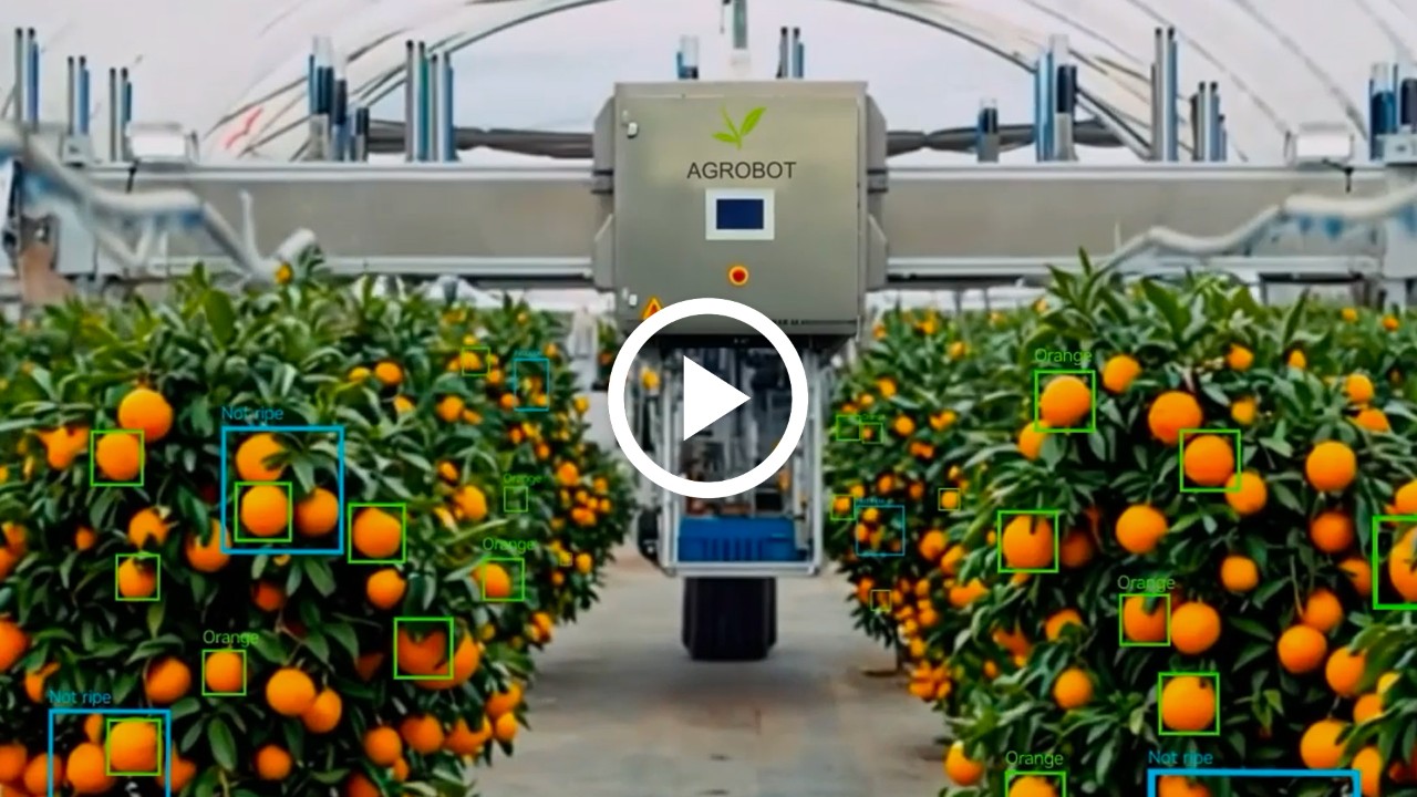 NVIDIA 如何开启现代 AI 时代