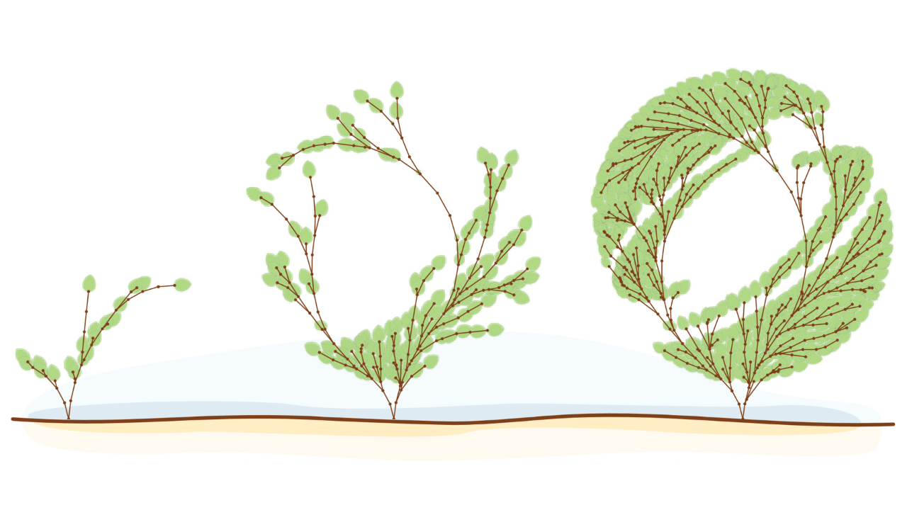 Design for Descent: what makes a shape grammar easy to optimize