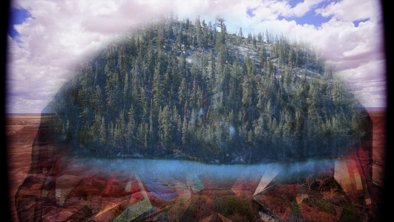 The animations in this short film, which uses digital image interpolation.