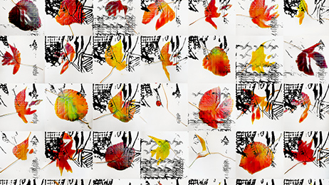 Helena 使用这个经过验证、可重复的过程来处理 GAN