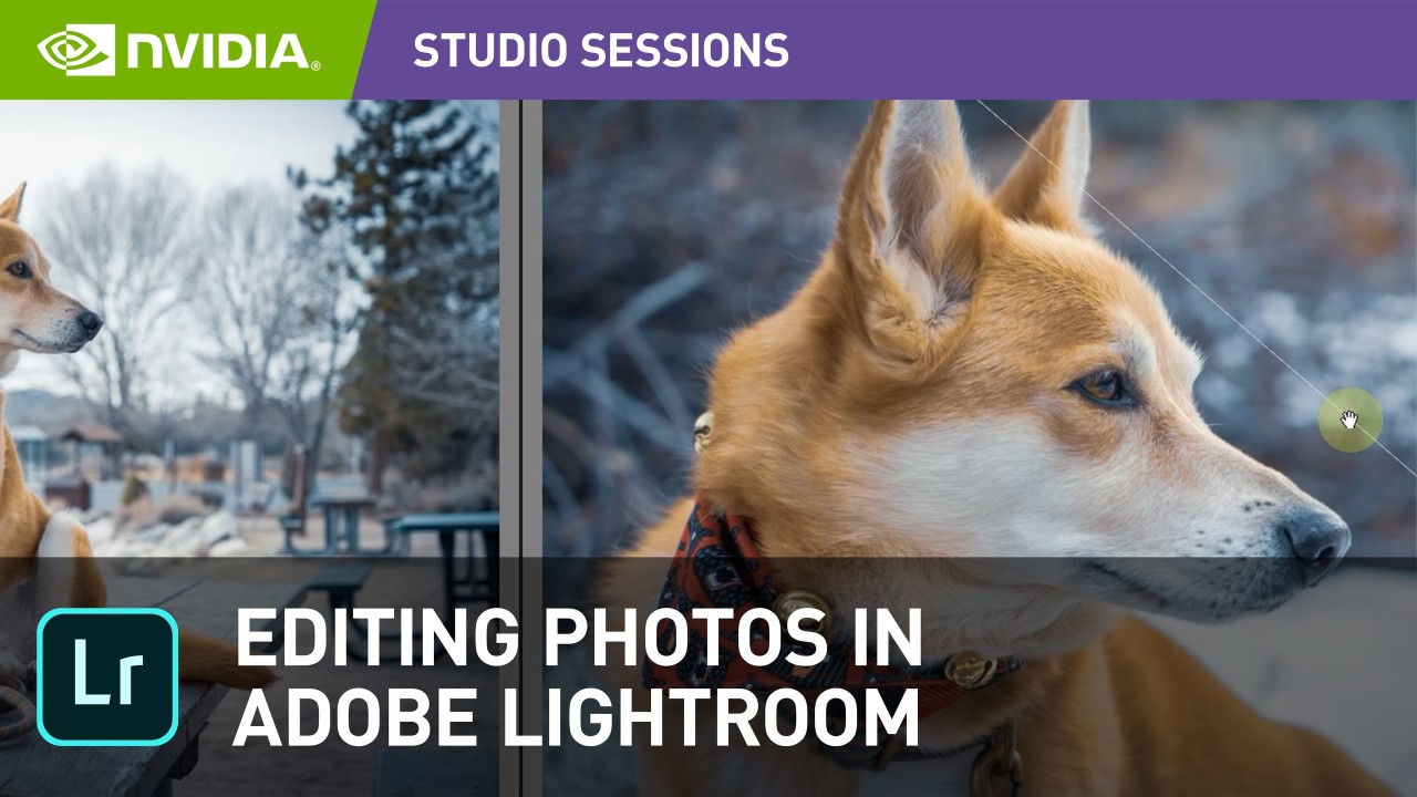 Photo Editing in Adobe Lightroom