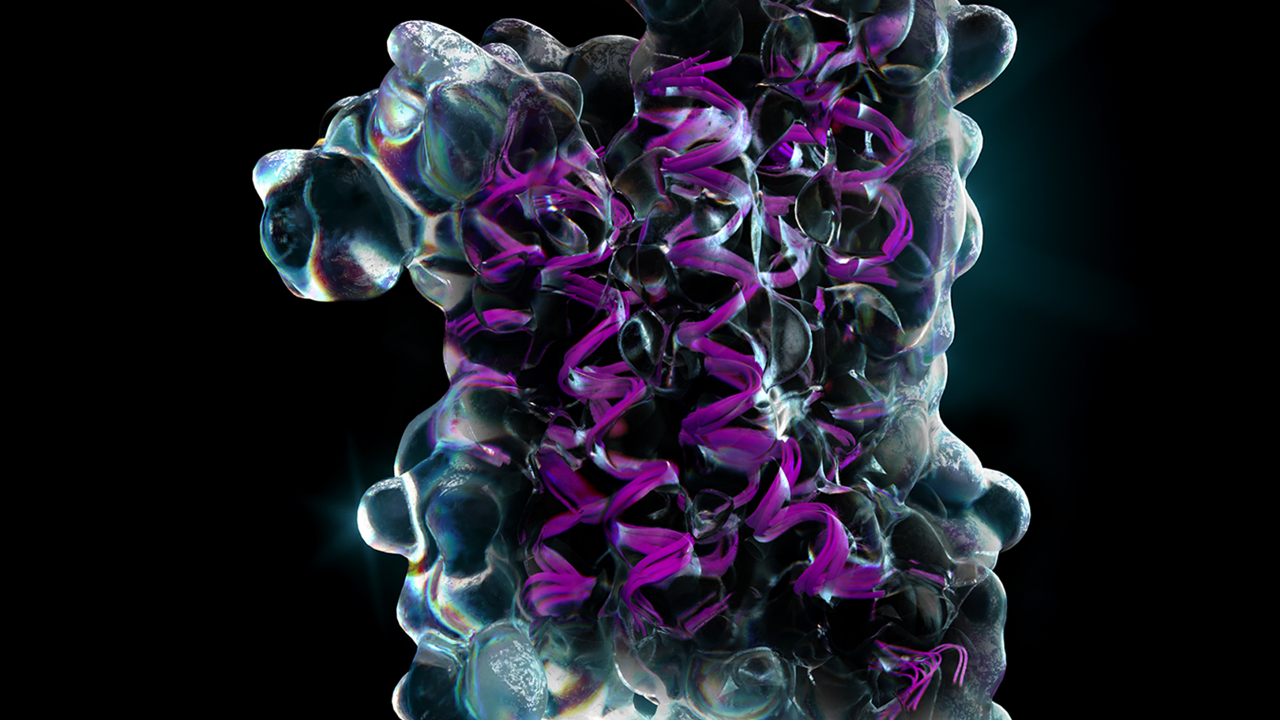 蛋白质基础模型