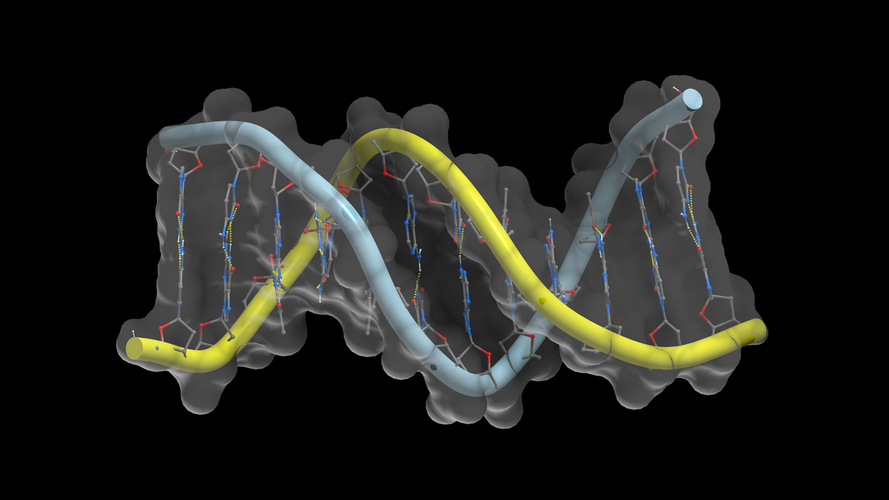 解码生命 DNA 蓝图：基因组学基础模型