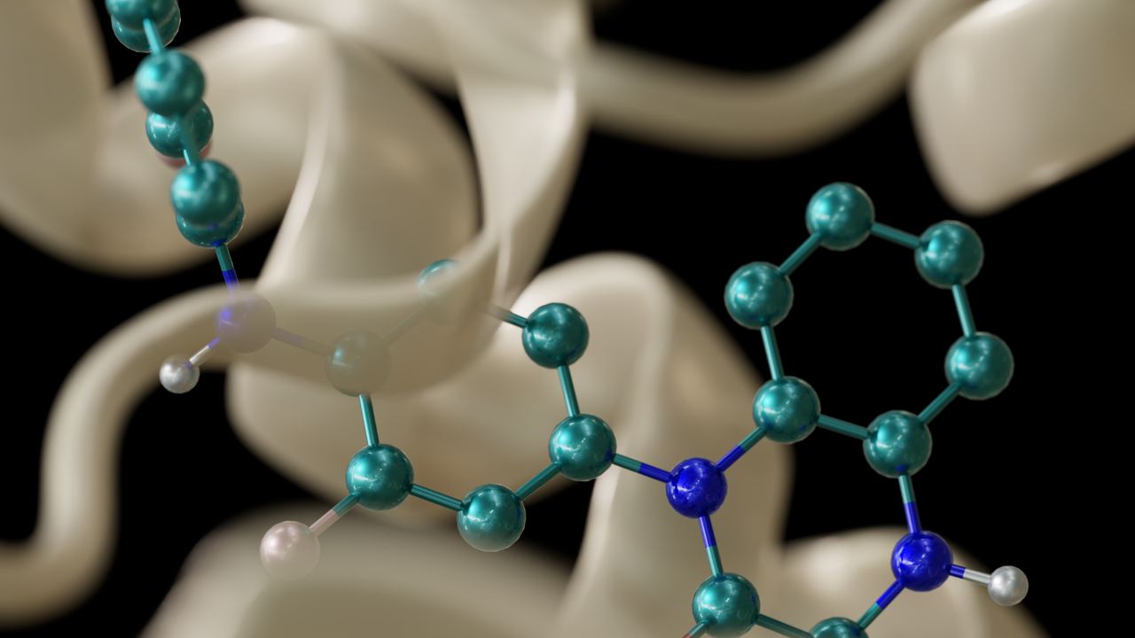 小分子基础模型