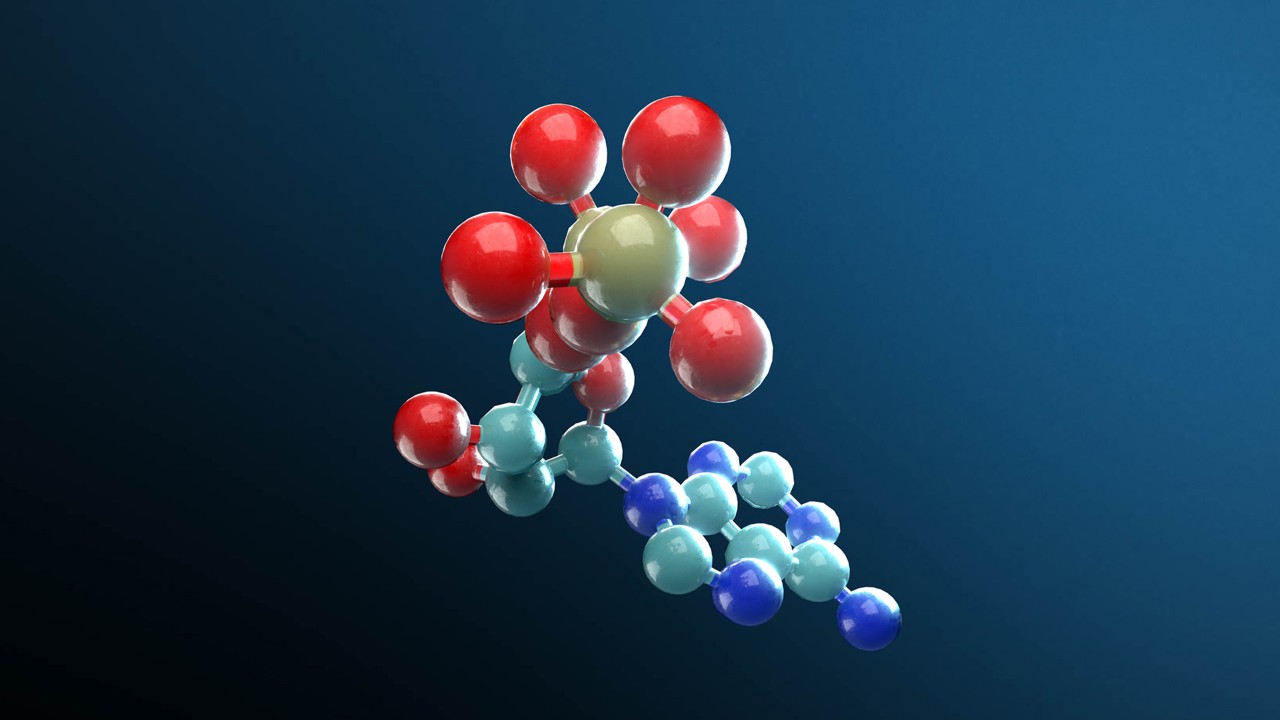 Molecular Simulation Brings Physics to AI